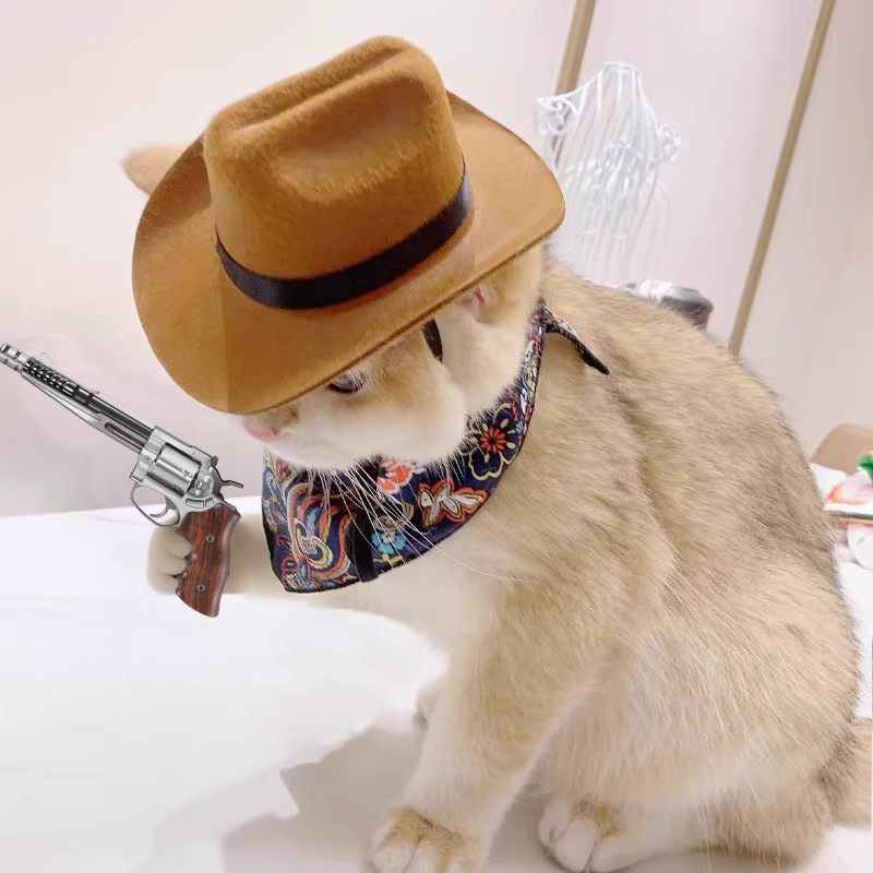  Cat Cowboy Hat Pet Head Acce - Cowboy Hat Straw recension och pris